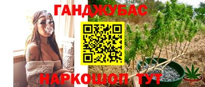 таблы Камышлов