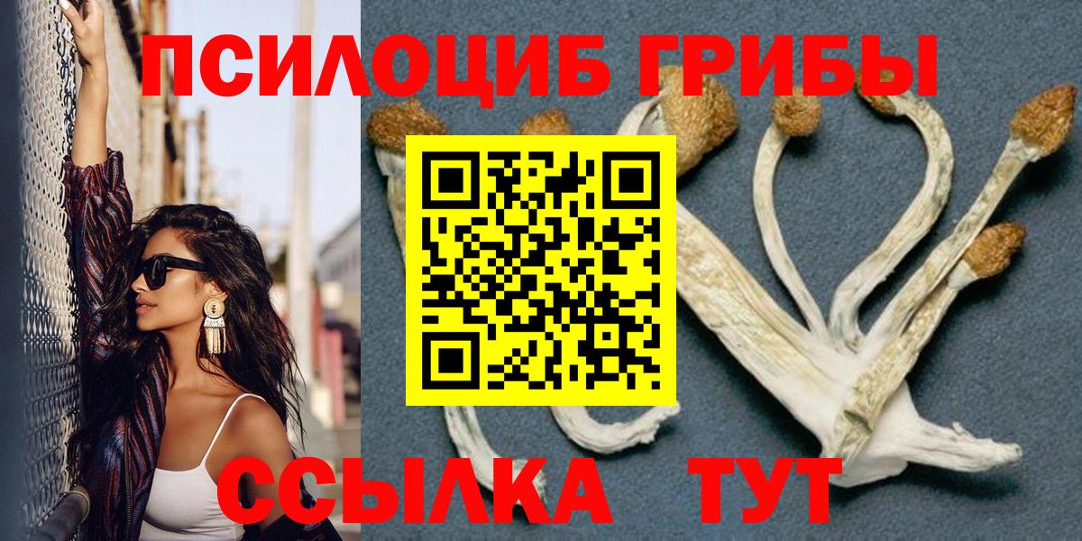 Саяногорск  Псилоцибиновые грибы GOLDEN TEACHER  Вход с VPN 