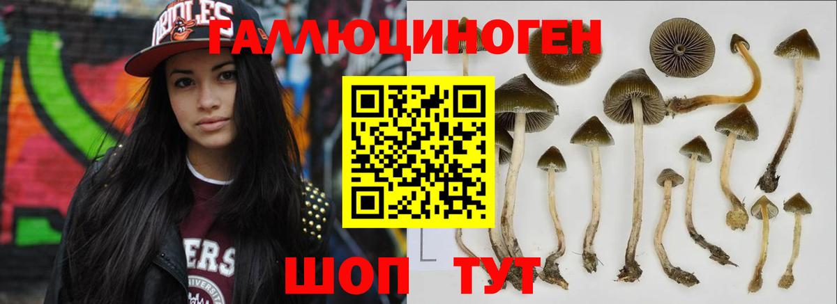 Псилоцибиновые грибы мухоморы Саяногорск